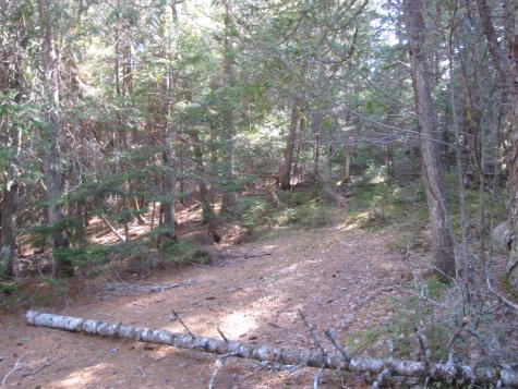 1022 Dale Street Wesley ME 04686