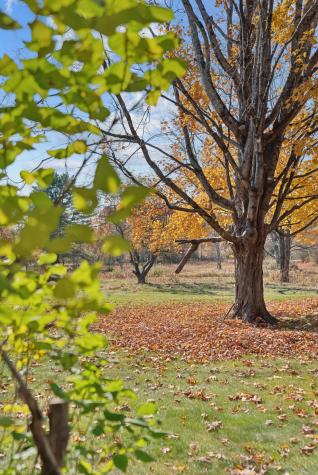 364 Main Street Bowdoinham ME 04008