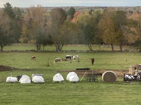 80 Beech Grove Road Corinth ME 04427