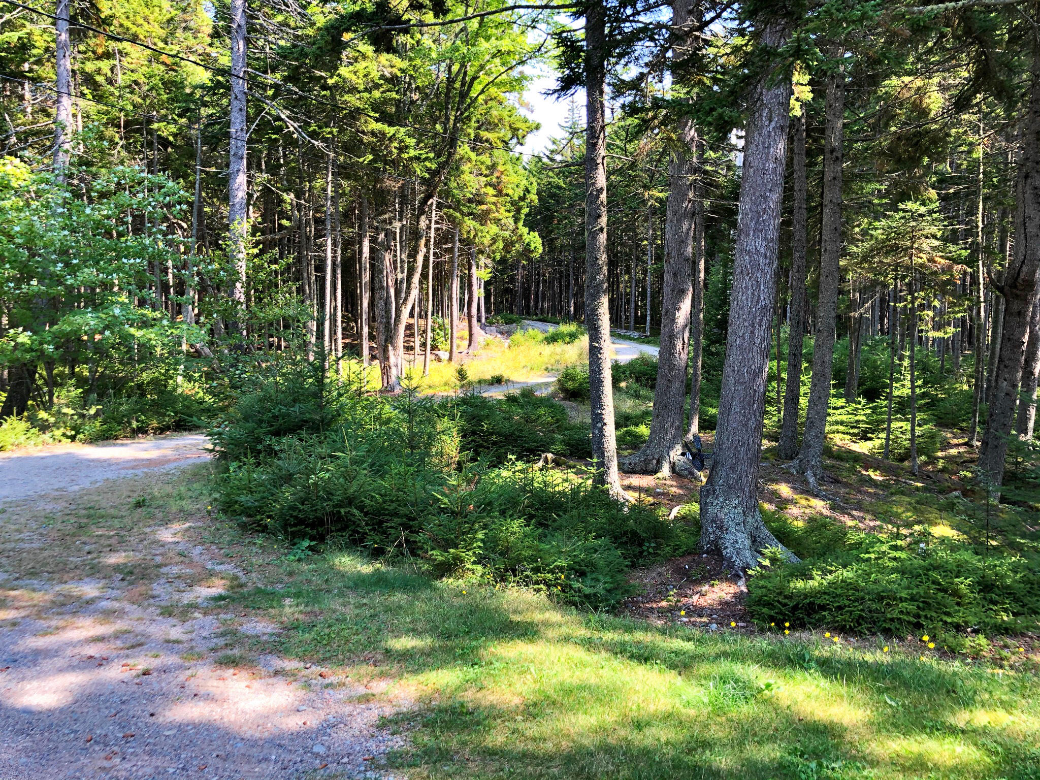 542 Grand Marsh Bay Road Gouldsboro ME 04607