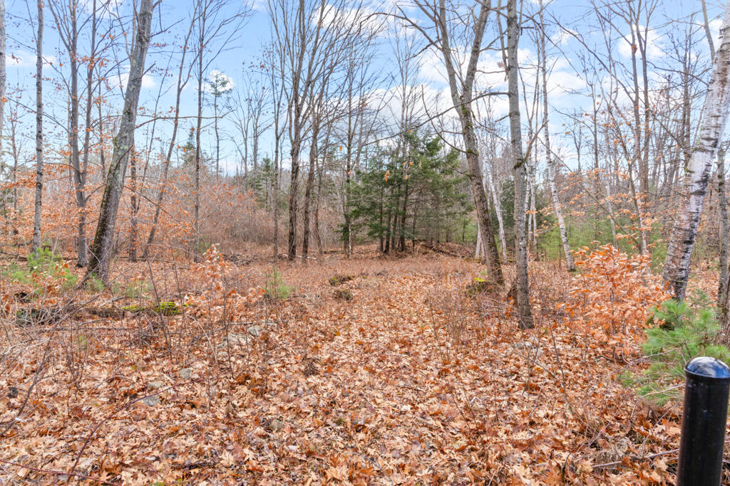 215 N Gorham Road Gorham ME 04038