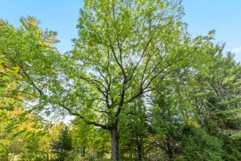 103 Thurlow Road Lincolnville ME 04849