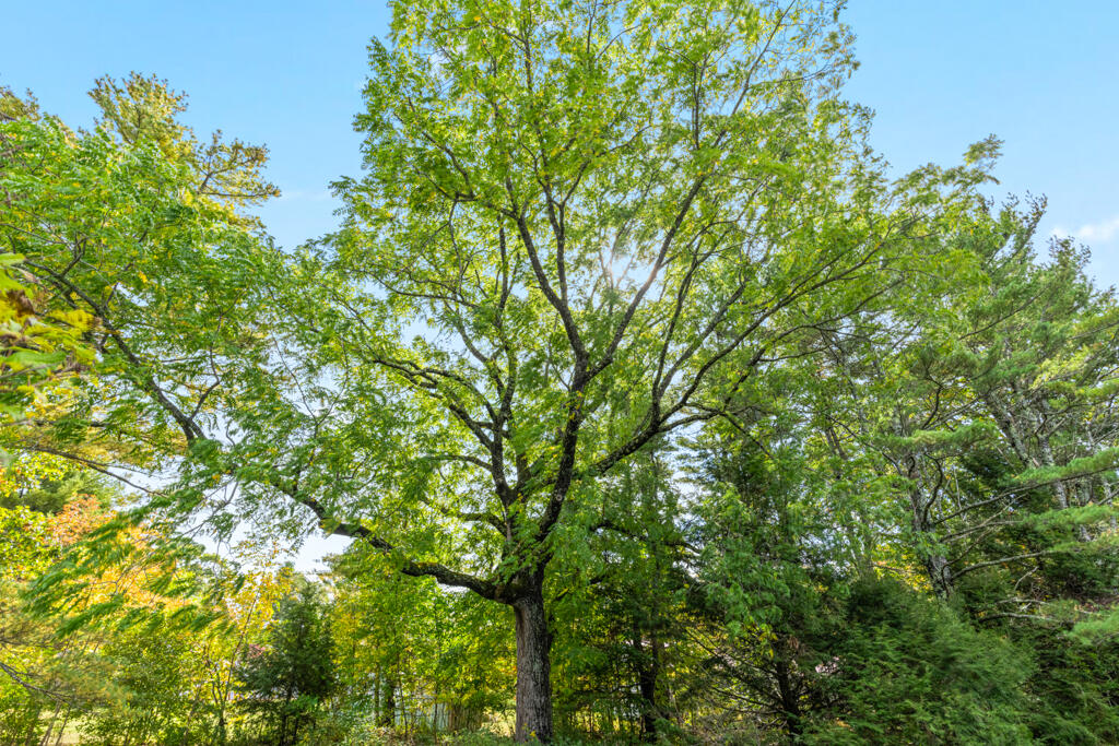 103 Thurlow Road Lincolnville ME 04849