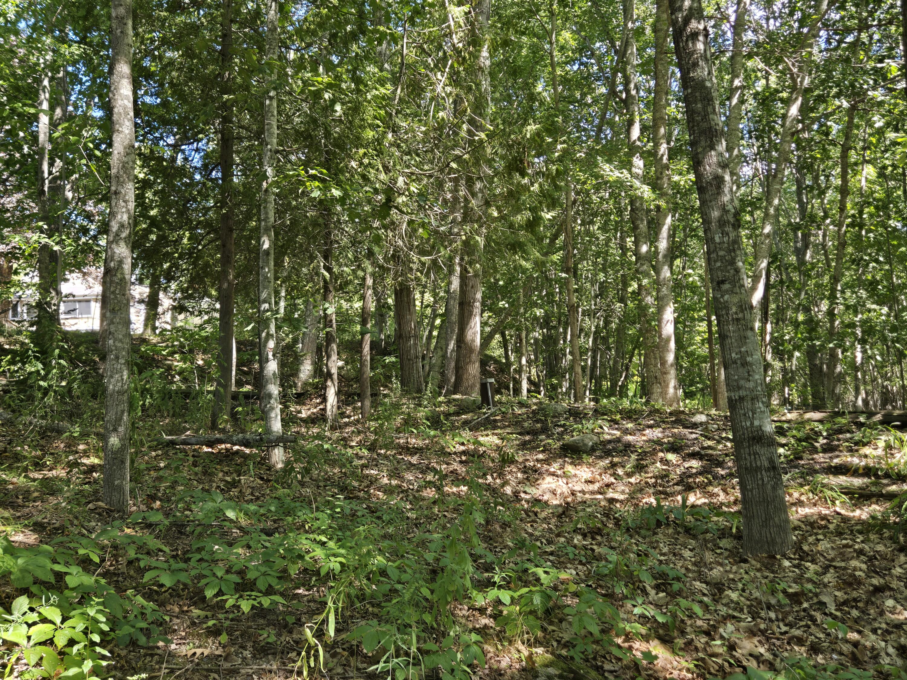 125 Ellsworth Road Blue Hill ME 04614