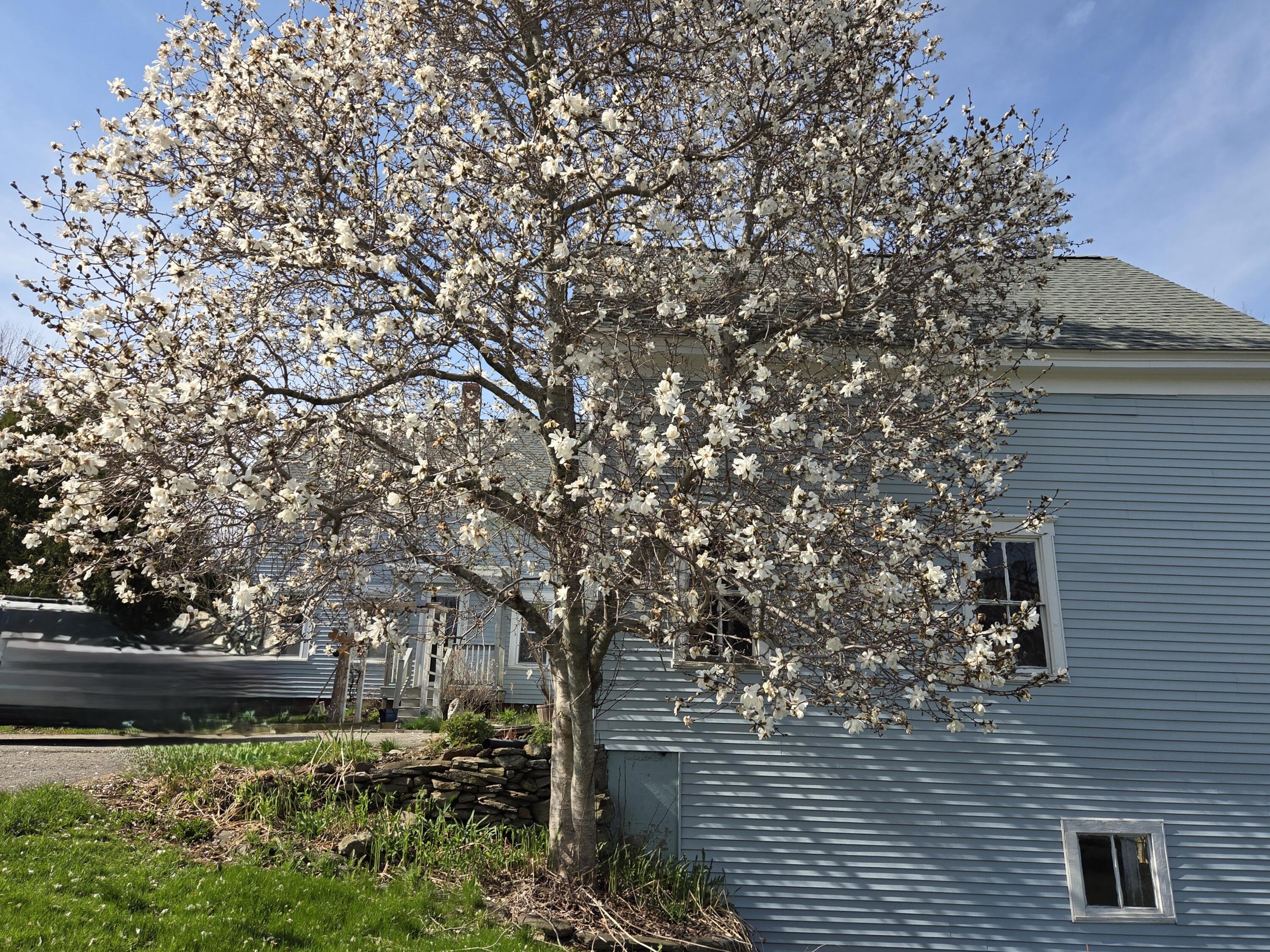 33 Moosehead Trail Highway Brooks ME 04921