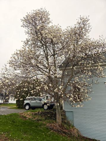 33 Moosehead Trail Highway Brooks ME 04921