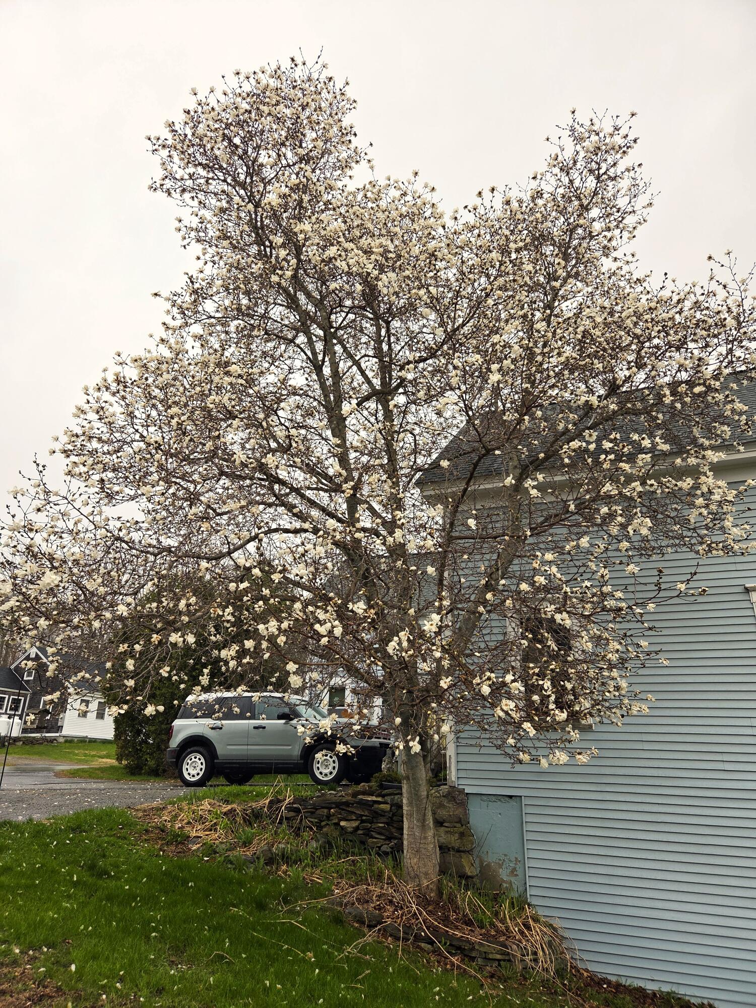 33 Moosehead Trail Highway Brooks ME 04921