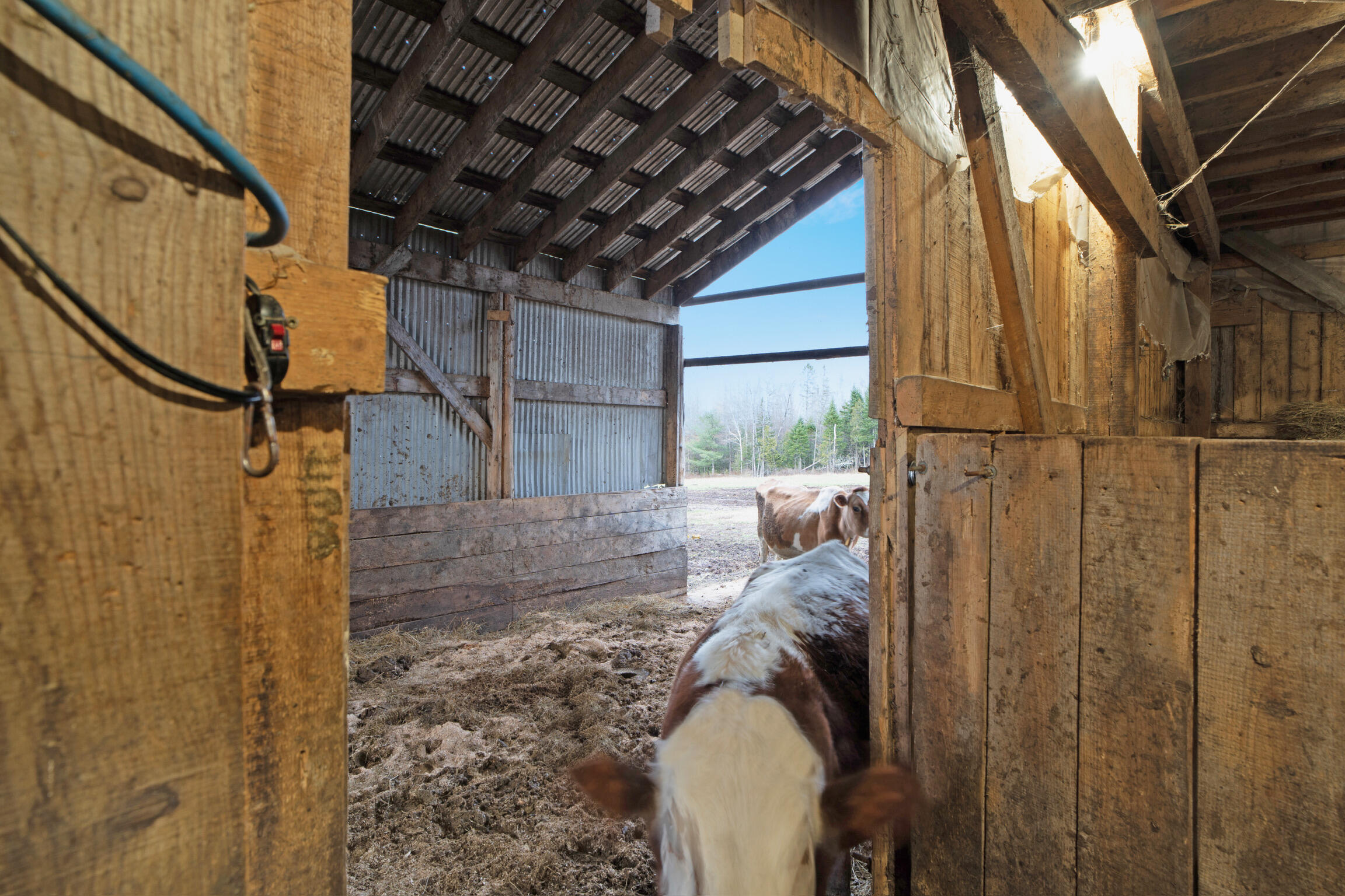 68 Dunn Road Dexter ME 04930