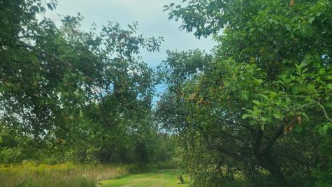 350 High Meadow Road Perham ME 04766