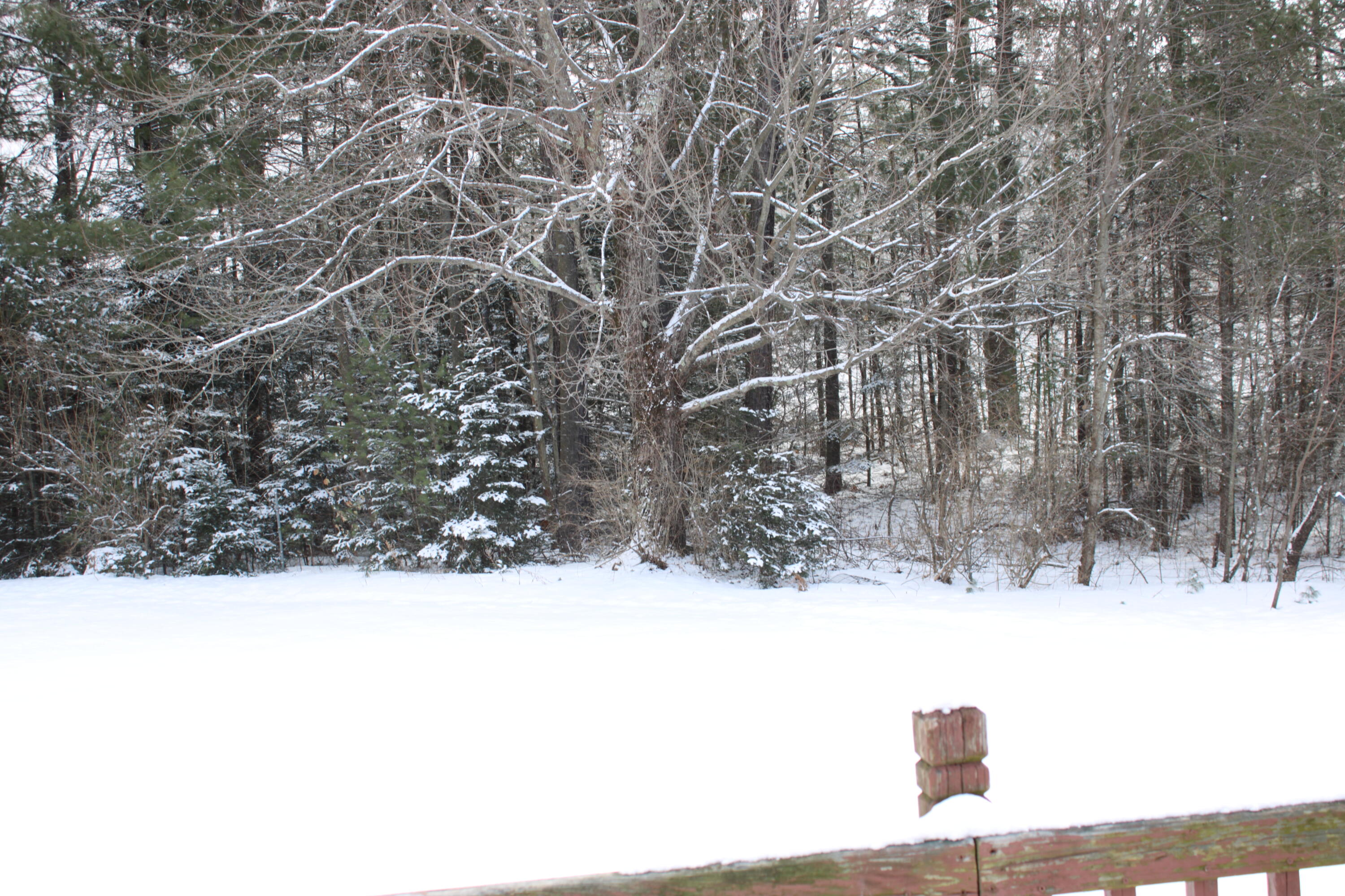 3064 Hotel Road Auburn ME 04210