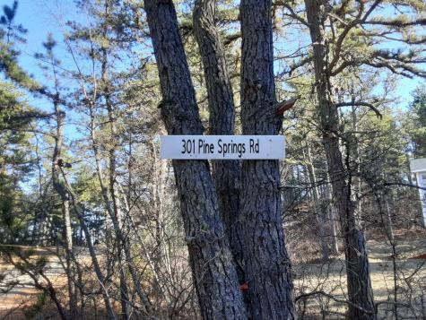 301 Pine Springs Road Shapleigh ME 04076