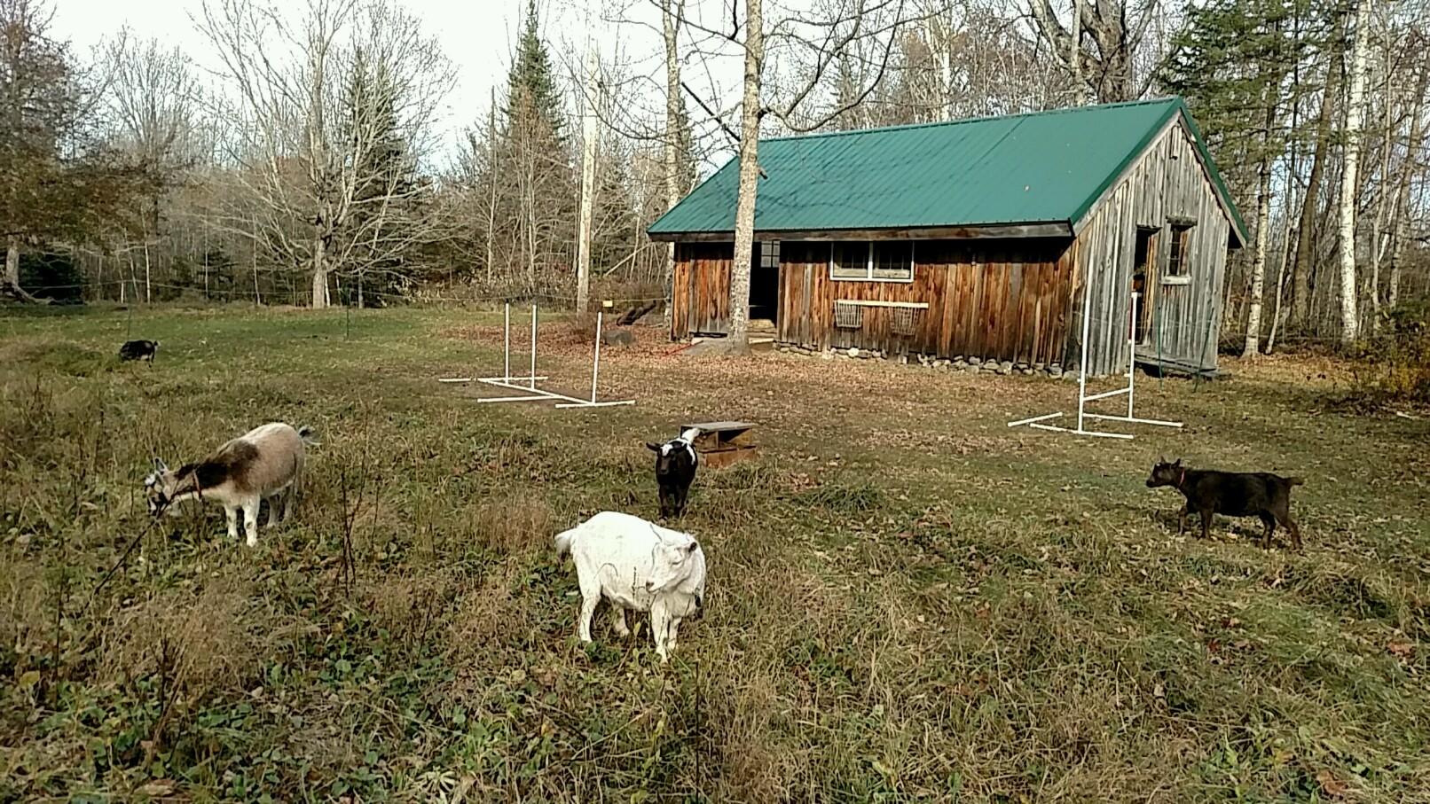 35 Cates Road Jackson ME 04921