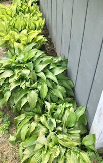 21 Lowell Street Westbrook ME 04092