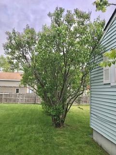 21 Lowell Street Westbrook ME 04092