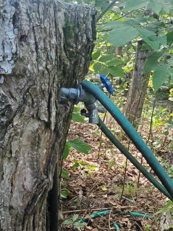 25 Speckle Drive Belgrade ME 04917