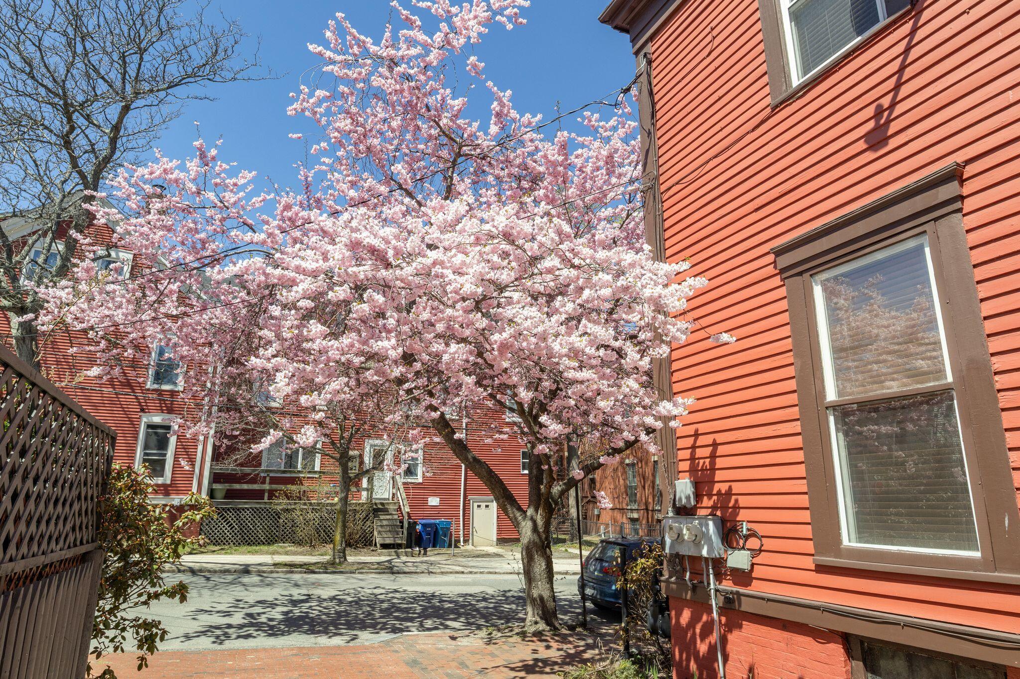 75 Carleton Street Portland ME 04102