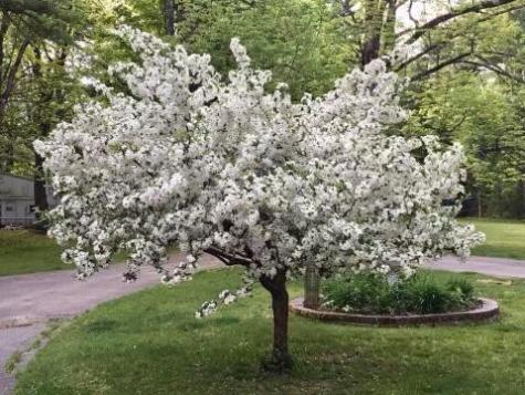 328 Blackstrap Road Falmouth ME 04105