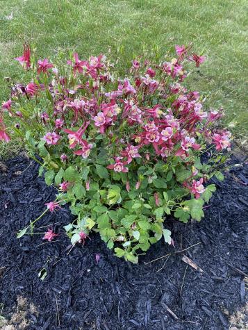 28 Rocks And Sticks Drive Bradley ME 04411