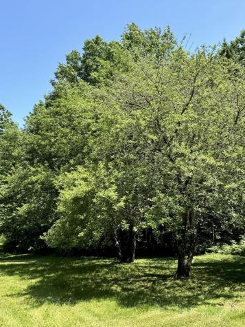 8 Bunker Hill Road Athens ME 04912