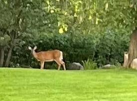 27 Reach Road Presque Isle ME 04769