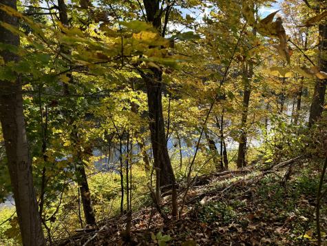 59 Lincoln Street Dover-foxcroft ME 04426