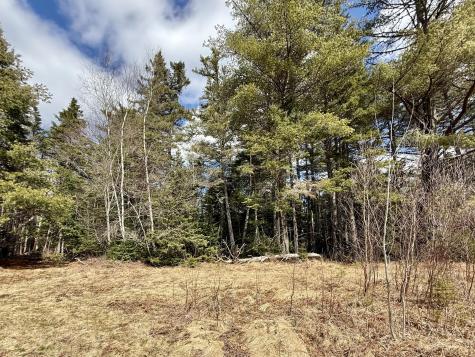 2015 Us Route One Perry ME 04667