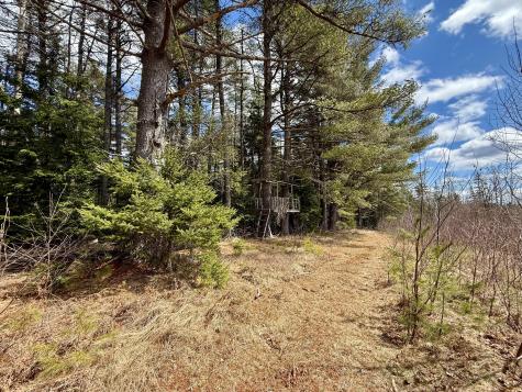 2015 Us Route One Perry ME 04667