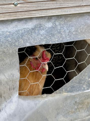 2015 Us Route One Perry ME 04667