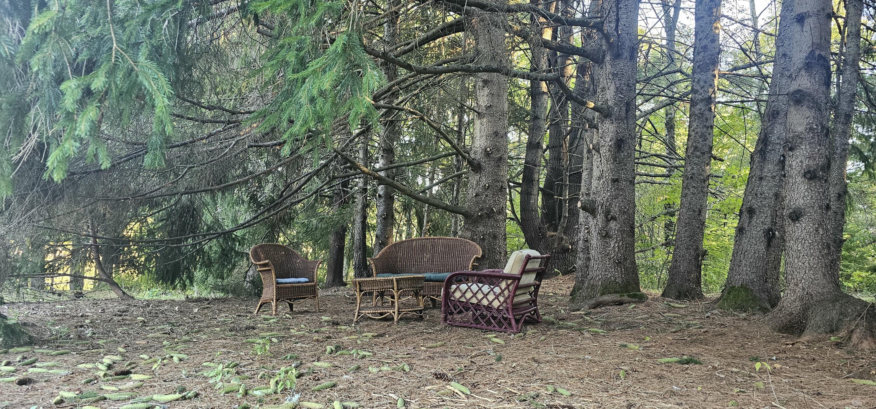 464 Gilman Falls Avenue Old Town ME 04468