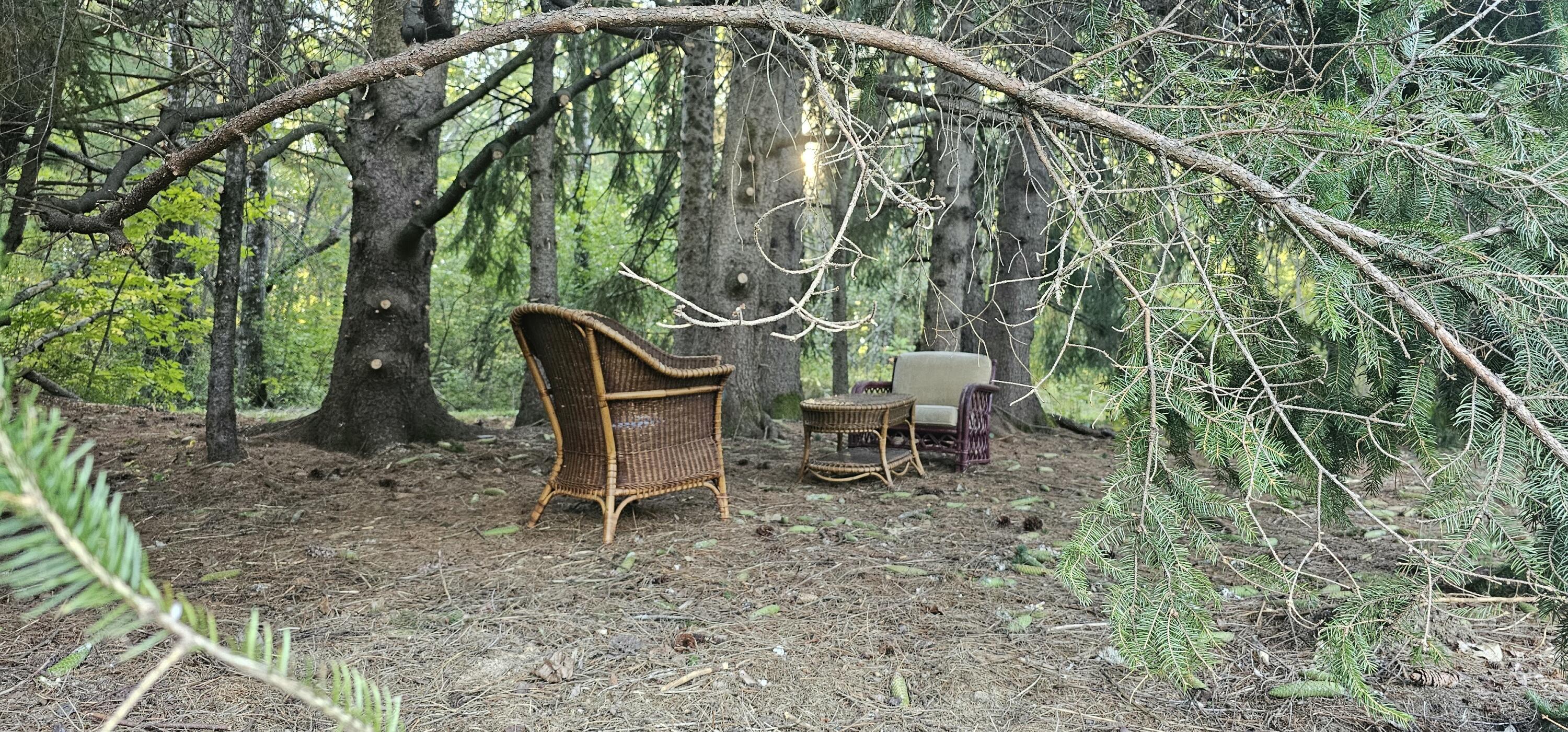 464 Gilman Falls Avenue Old Town ME 04468