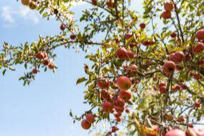 45 Freedom Road Belgrade ME 04917