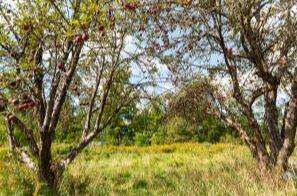 45 Freedom Road Belgrade ME 04917