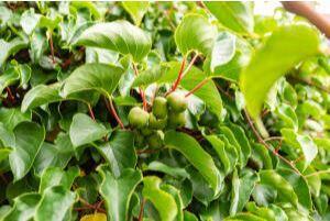 45 Freedom Road Belgrade ME 04917