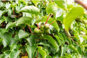 45 Freedom Road Belgrade ME 04917