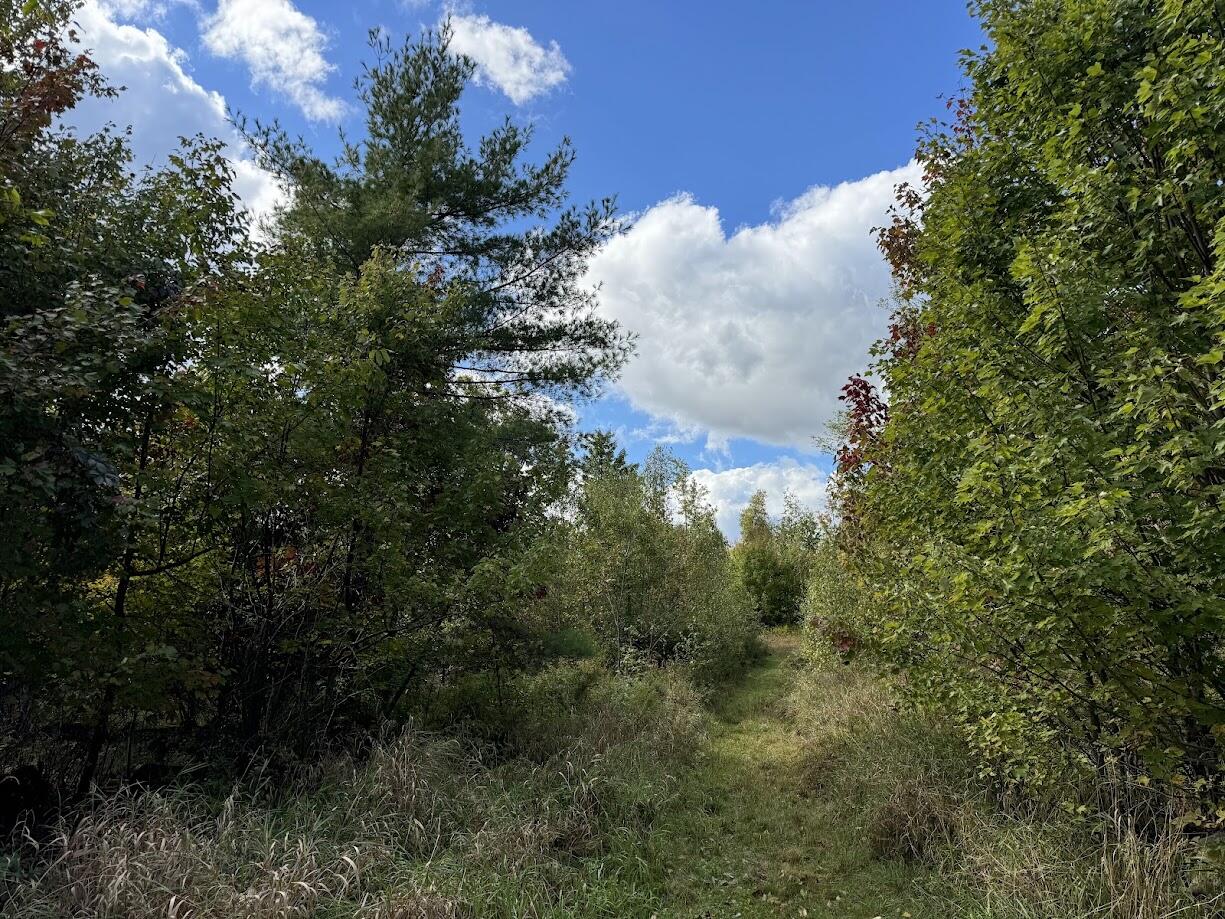 45 Freedom Road Belgrade ME 04917