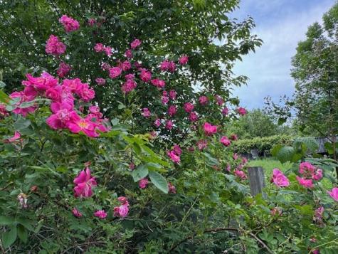 45 Freedom Road Belgrade ME 04917