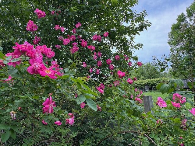 45 Freedom Road Belgrade ME 04917