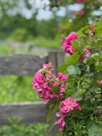 45 Freedom Road Belgrade ME 04917