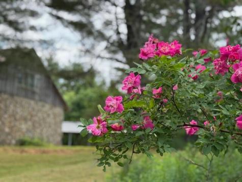 45 Freedom Road Belgrade ME 04917