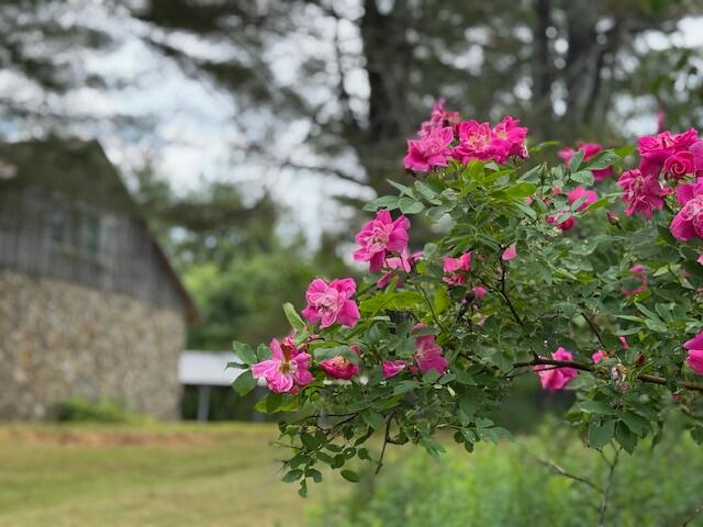 45 Freedom Road Belgrade ME 04917