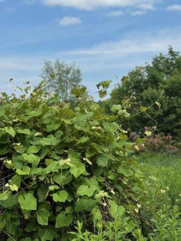 45 Freedom Road Belgrade ME 04917