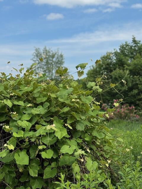 45 Freedom Road Belgrade ME 04917