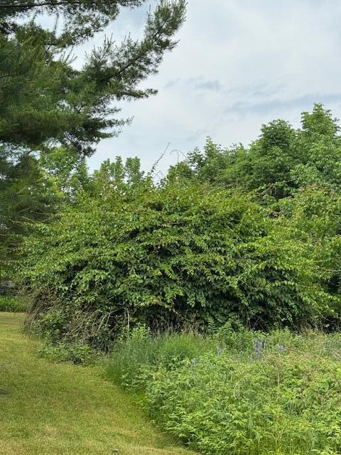 45 Freedom Road Belgrade ME 04917