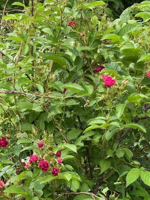 45 Freedom Road Belgrade ME 04917