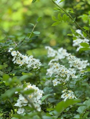 45 Freedom Road Belgrade ME 04917