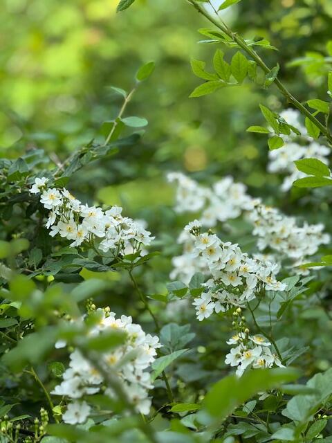 45 Freedom Road Belgrade ME 04917