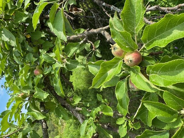 45 Freedom Road Belgrade ME 04917