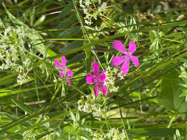 45 Freedom Road Belgrade ME 04917