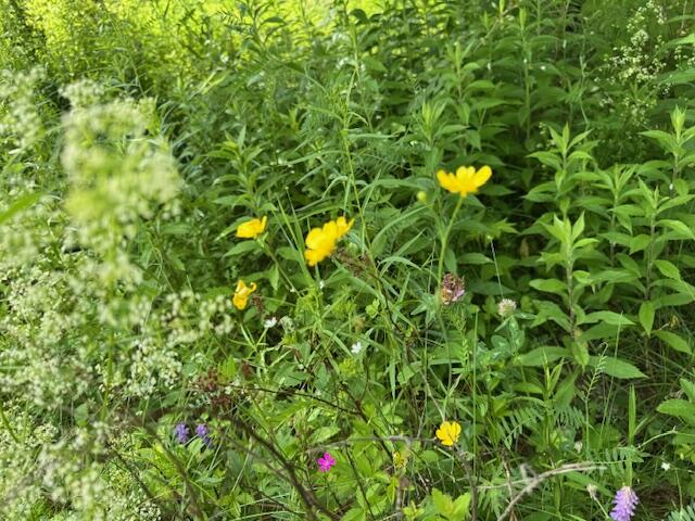 45 Freedom Road Belgrade ME 04917