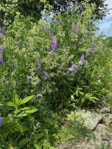 45 Freedom Road Belgrade ME 04917